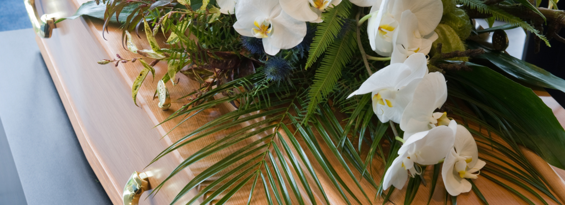 On. Fun.Apb Di Alessandri Botticelli